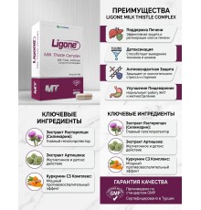 RCFARMA milk thistle complex 60 kapsul