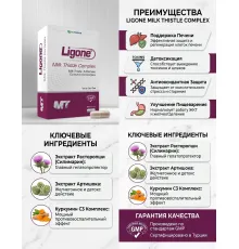 RCFARMA milk thistle complex 60 kapsul