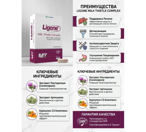 RCFARMA milk thistle complex 60 kapsul