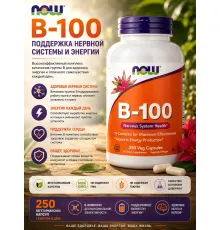 NOW B-100 Complex 250 veg caps