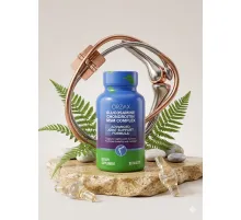 ORZAX Glucosamine Chondroitin MSM Complex 90tab