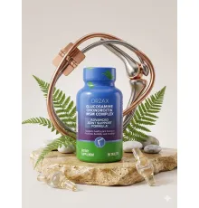 ORZAX Glucosamine Chondroitin MSM Complex 90tab