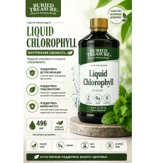 Liquid Chlorophyll Buried Treasure 496ml