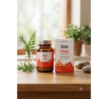ORZAX Ocean Picozink 30 tablet