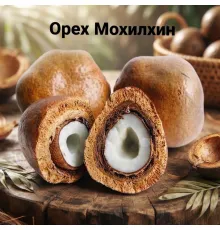 Мохилхин