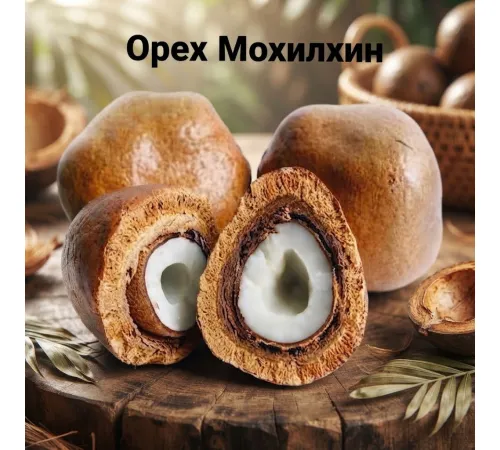 Мохилхин