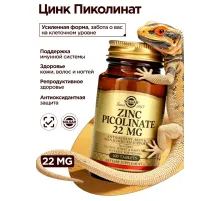 Solgar Zinc Picolinate 22mg 100tab
