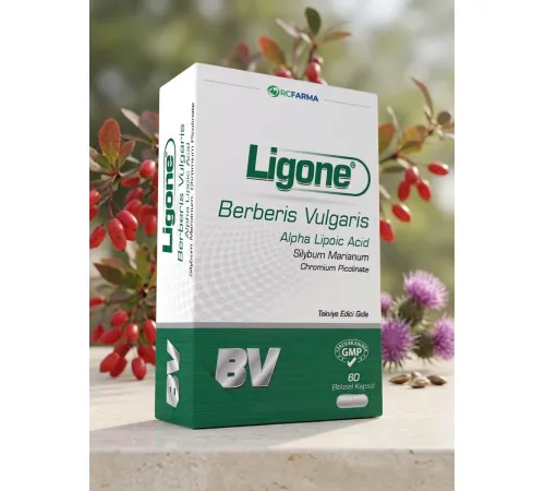RCFARMA Ligone Berberis Vulgaris 60kap