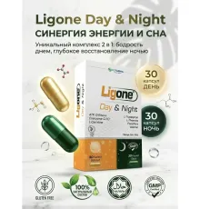 RCFARMA Ligone Day Night