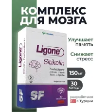 RCFARMA Ligone Sitikolin 30 kapsul