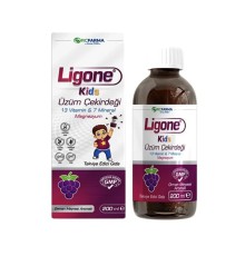 RCFARMA Ligone Kids Üzüm Çekirdeği 200 ML