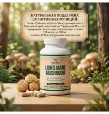 Lion's Mane Mushroom 120cap 500mg