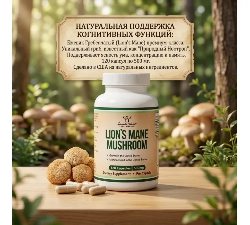 Lion's Mane Mushroom 120cap 500mg