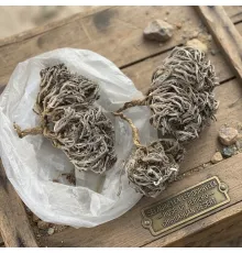 Каф Марьям